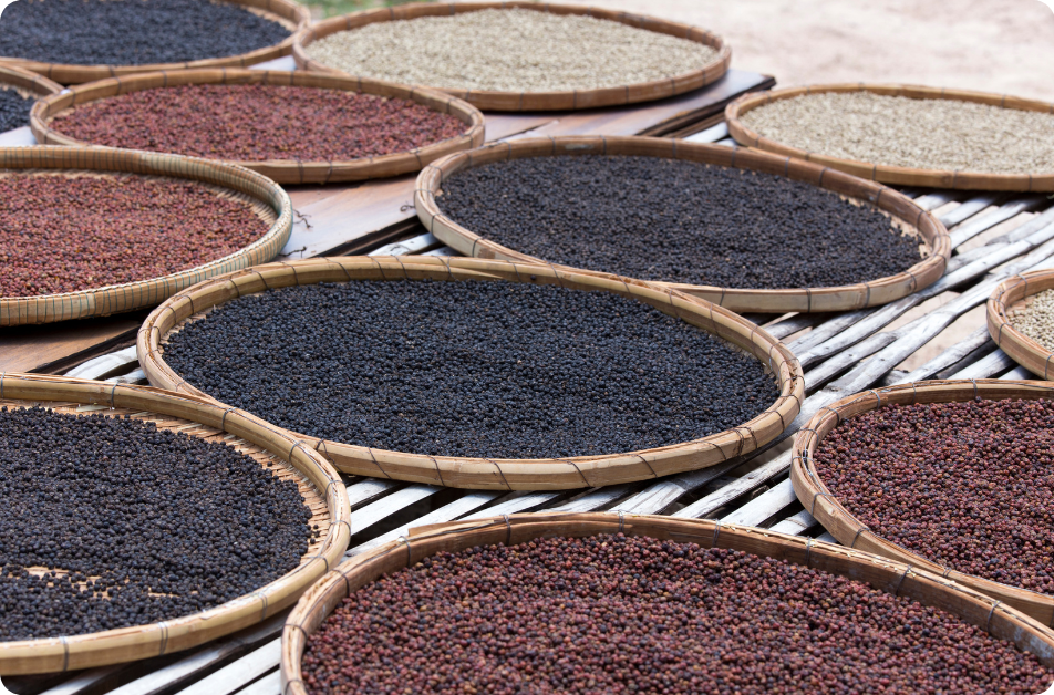 Kampotský pepř   (1200 x 628 px) (1)